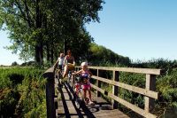 Niederrhein de_Galeriebild Rees_Fahrradfahrer auf der Hetterbruecke